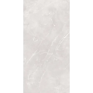 Carrelage 60x120 cm Antares Gris Mate