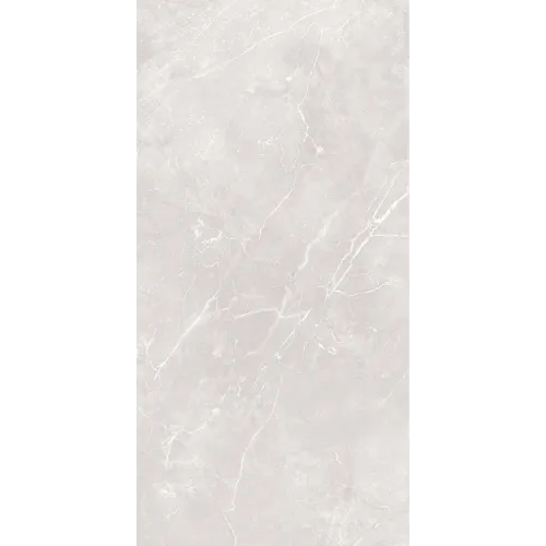 Carrelage 60x120 cm Antares Gris Mate