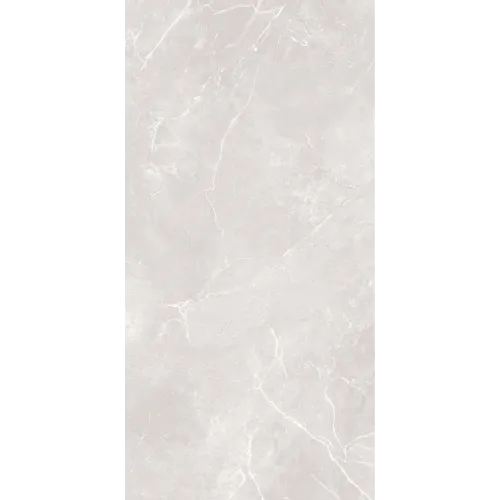 Carrelage 60x120 cm Antares Gris Mate